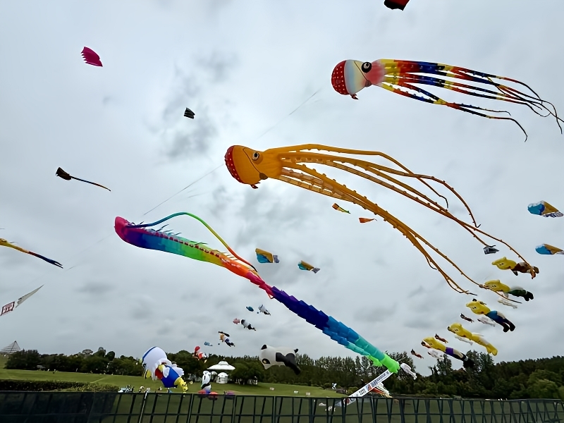 510dd13d673dd55e3ae760b5b7afacb4.jpg 510dd13d673dd55e3ae760b5b7afacb4.jpg