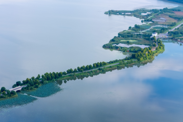 1e8c1b175975ed22445c18e86becfe41.png 1e8c1b175975ed22445c18e86becfe41.png