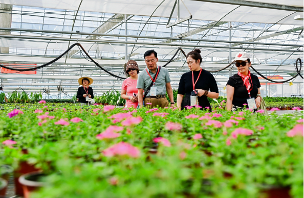 71f49eca47782aea5f4cd235a659ee61.png 71f49eca47782aea5f4cd235a659ee61.png