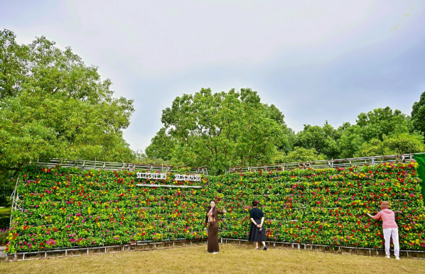 84349f18485644febf954a50c9797b3a.png 84349f18485644febf954a50c9797b3a.png