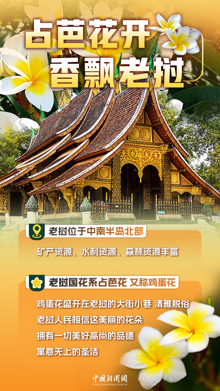 d78ddf8c3d6579e90659a61246faeb9d.jpg